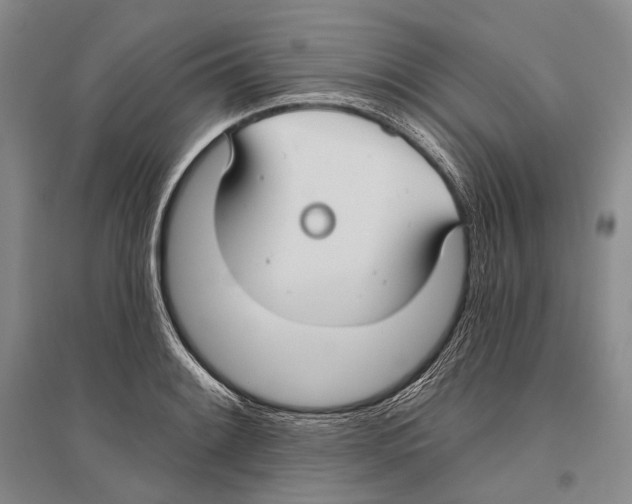 X0000096451084200802211228