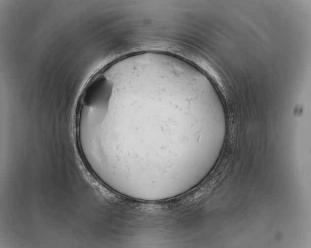 X0000096451088200802211228