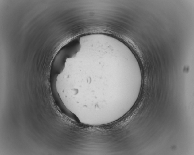 X0000096451089200802211228