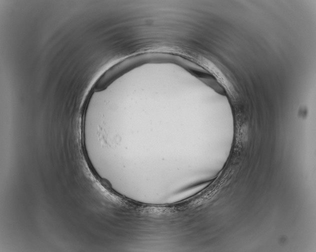 X0000096451092200802211228