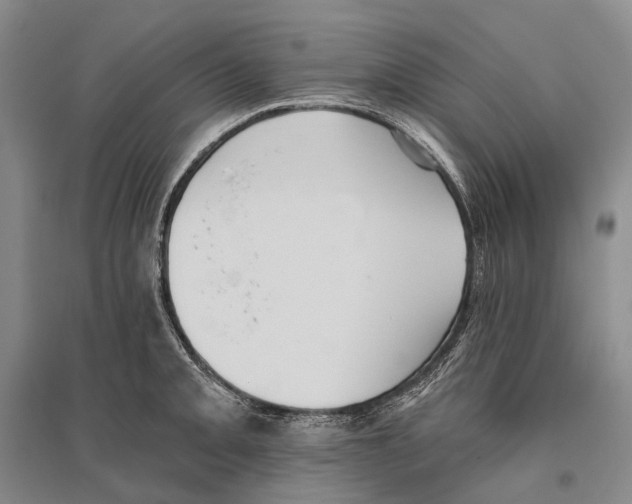 X0000096451093200802211228