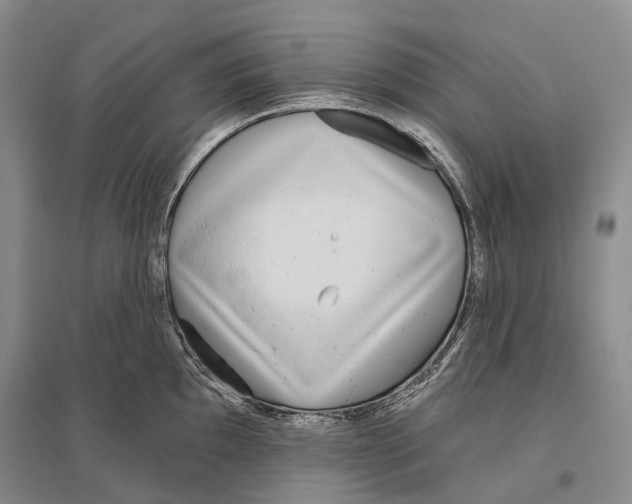 X0000096451097200802211228