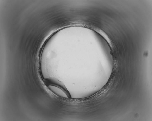 X0000096451099200802211228