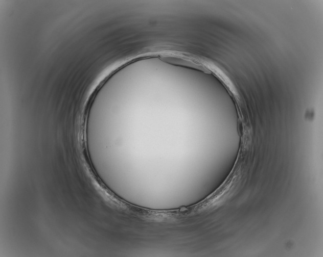 X0000096451101200802211228