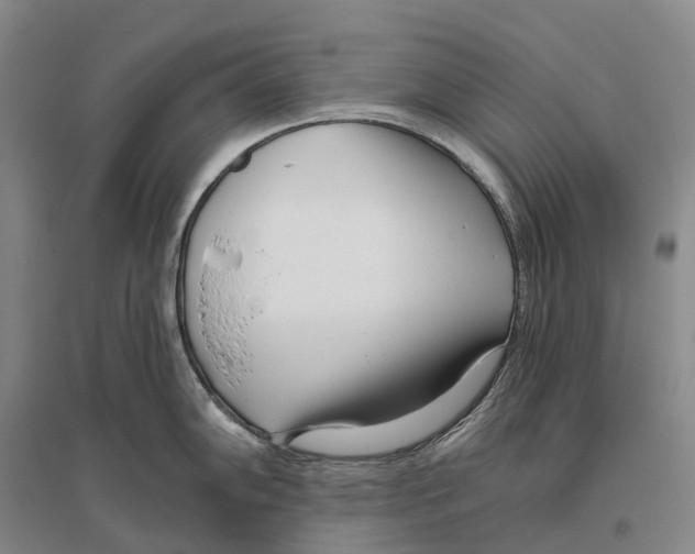 X0000096451102200802211228