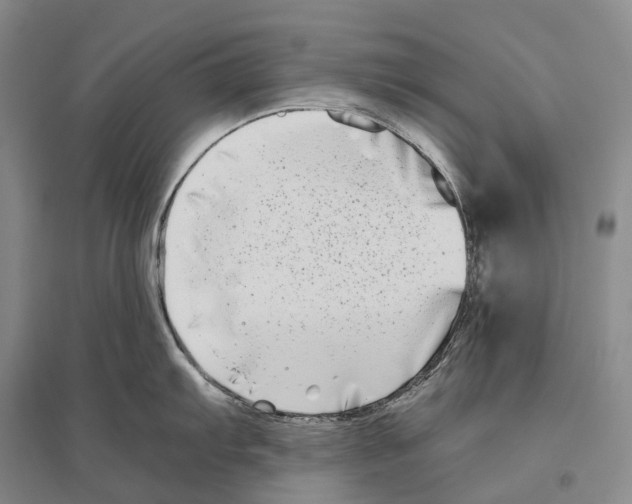 X0000096451103200802211228