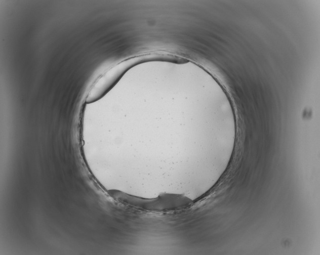 X0000096451104200802211228