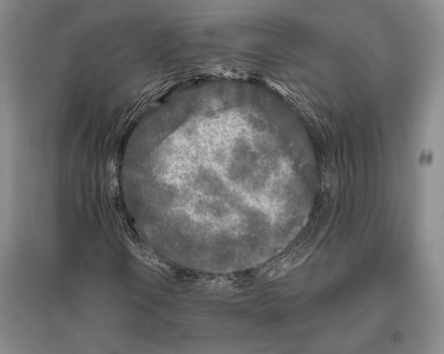 X0000096451106200802211227