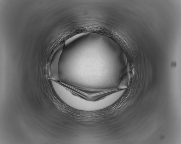 X0000096451108200802211227