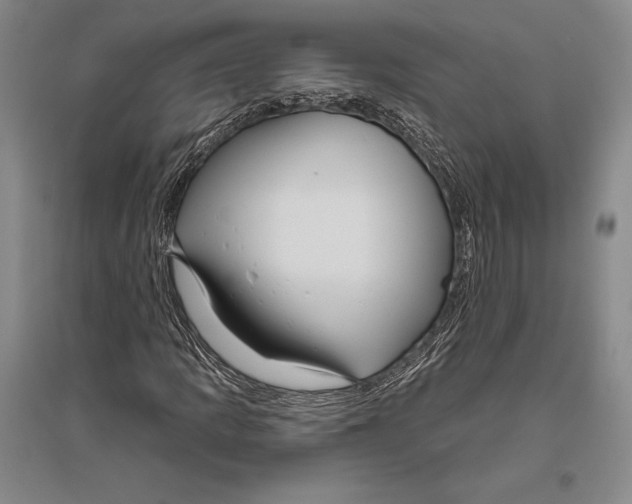 X0000096451109200802211227