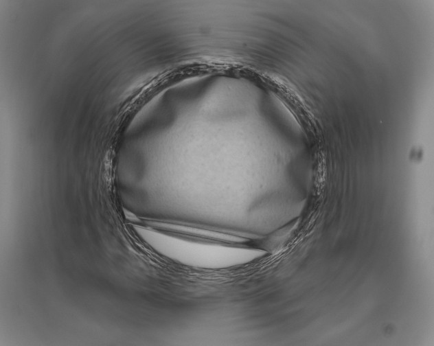 X0000096451110200802211227