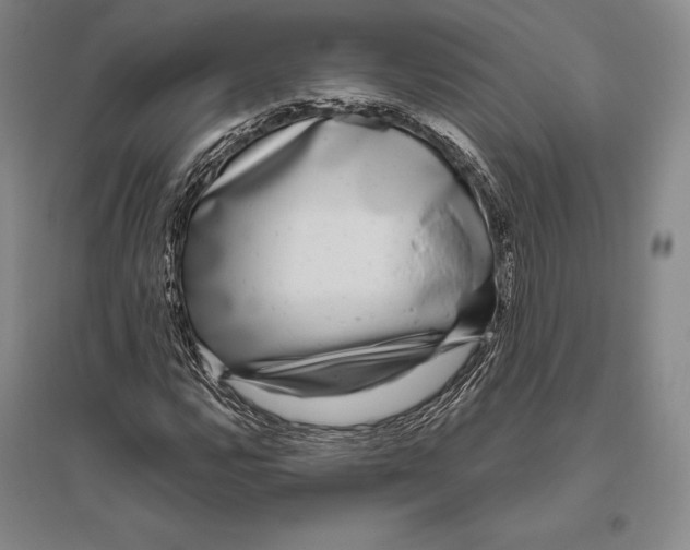 X0000096451112200802211227