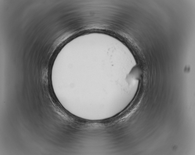 X0000096451113200802211227