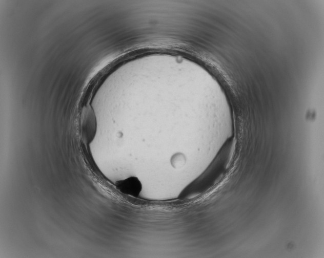 X0000096451114200802211227