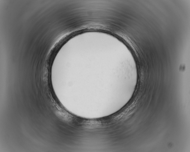 X0000096451115200802211227