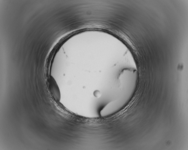 X0000096451116200802211227