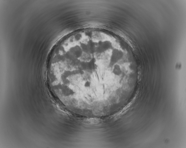 X0000096451117200802211227