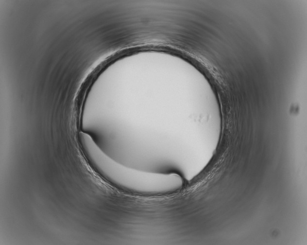 X0000096451118200802211227