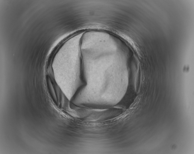 X0000096451120200802211227