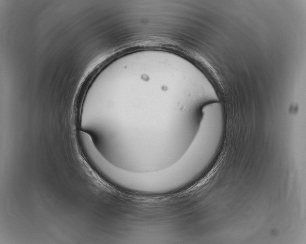 X0000096451122200802211228