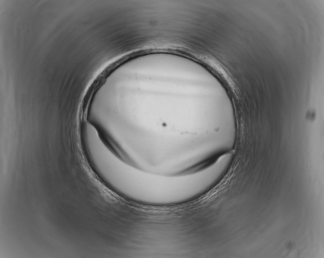 X0000096451124200802211228