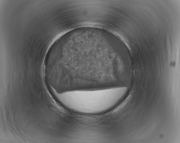 X0000096451125200802211228