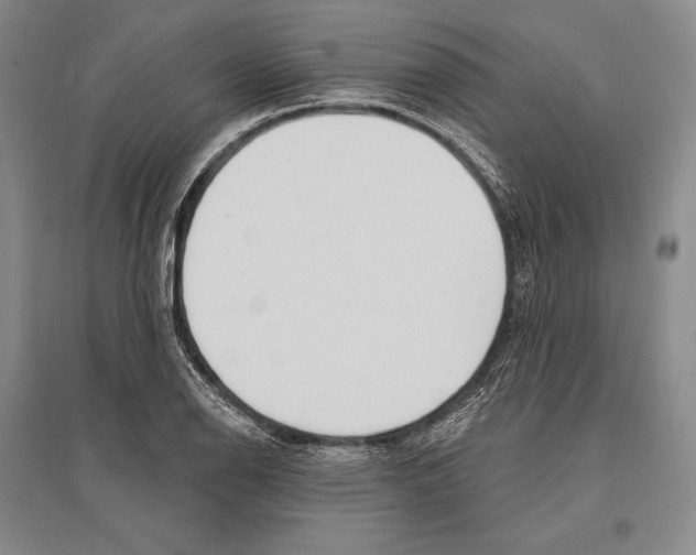 X0000096451126200802211228