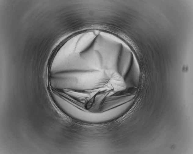 X0000096451127200802211228