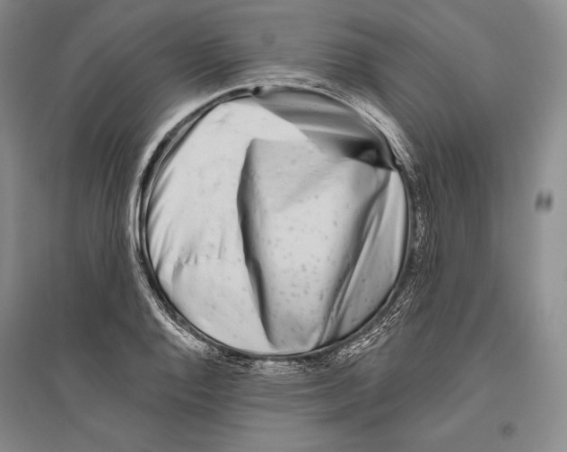 X0000096451128200802211228