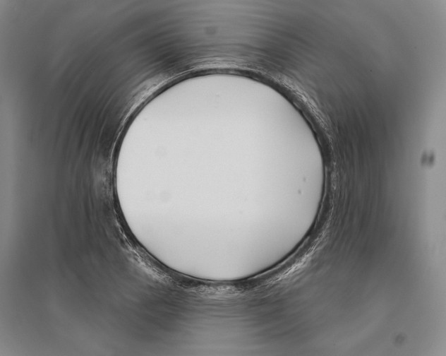 X0000096451129200802211228