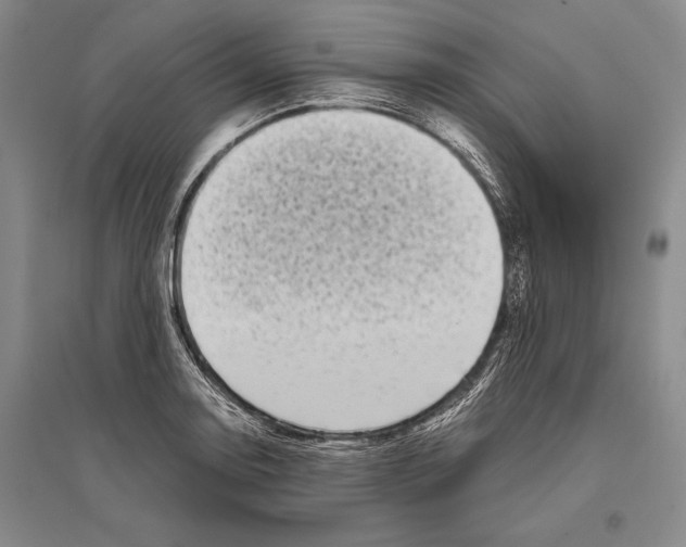 X0000096451130200802211228