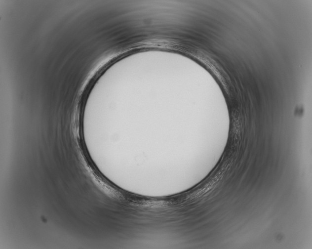 X0000096451131200802211228