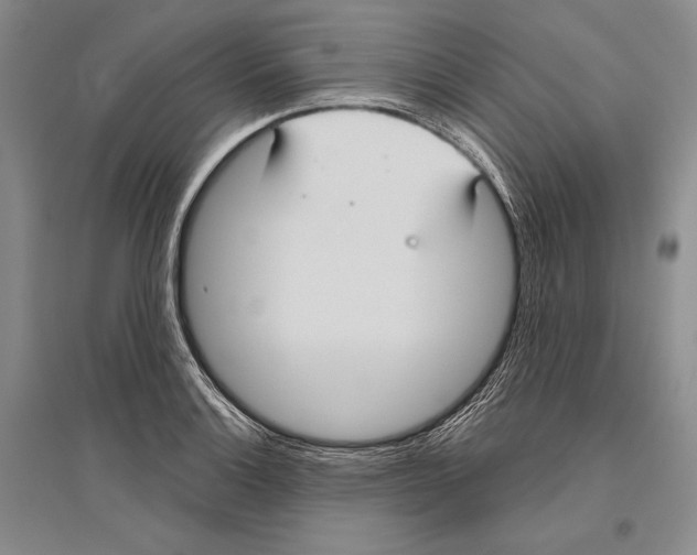 X0000096451132200802211228