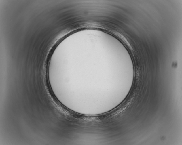 X0000096451133200802211228