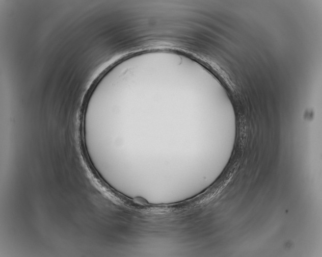 X0000096451134200802211228