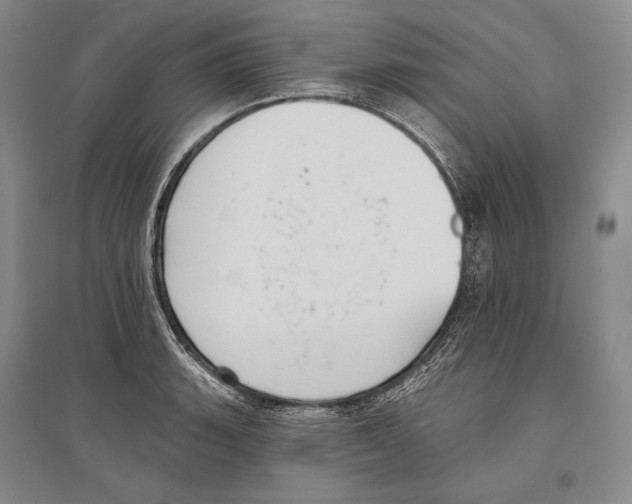 X0000096451135200802211228