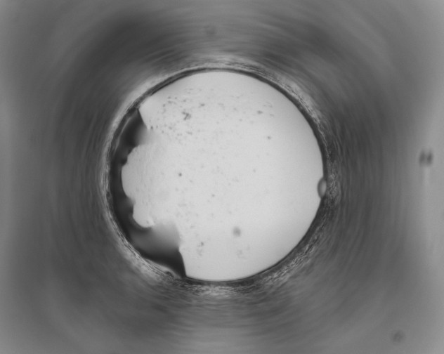 X0000096451136200802211228