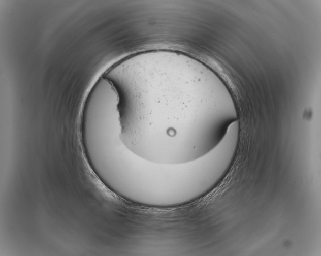 X0000096451140200802211228