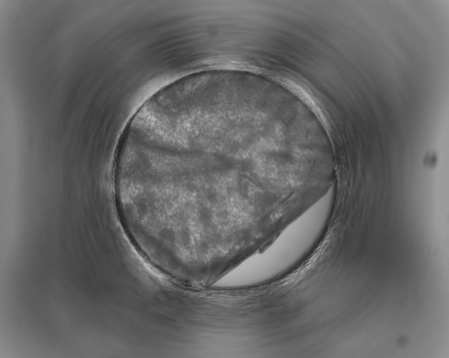 X0000096451141200802211228