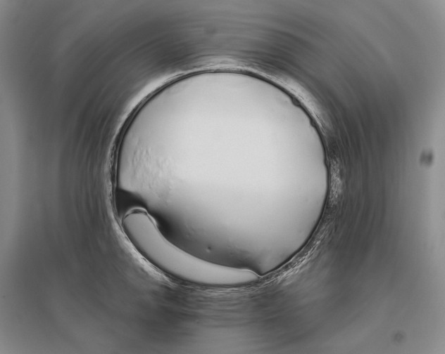 X0000096451142200802211228