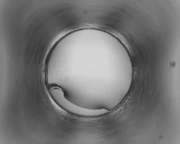 X0000096451143200802211228