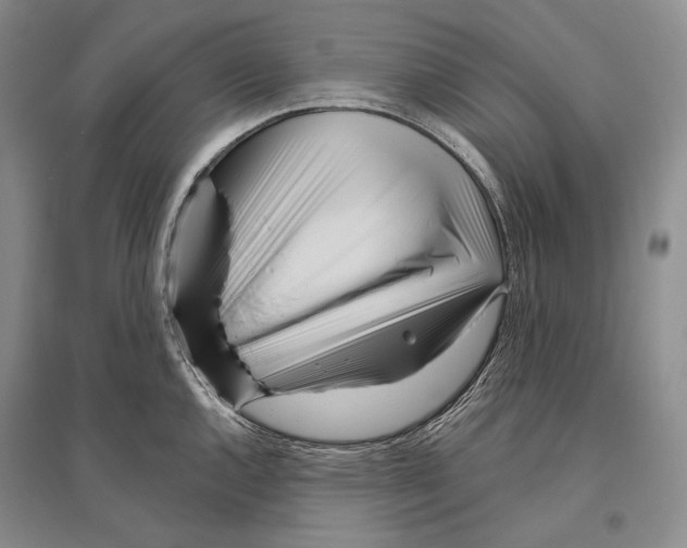 X0000096451144200802211228