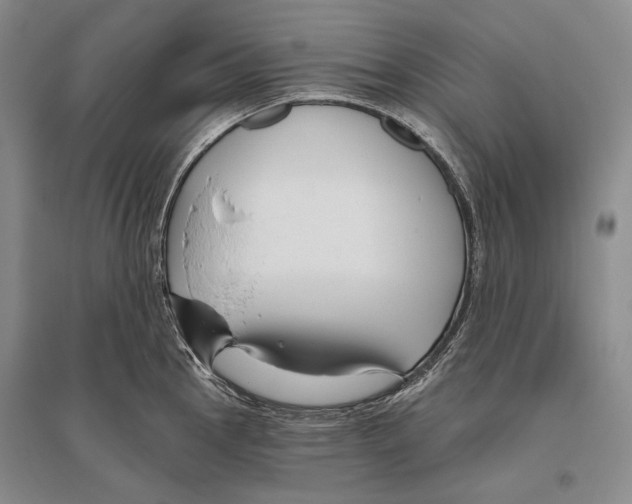 X0000096451145200802211228