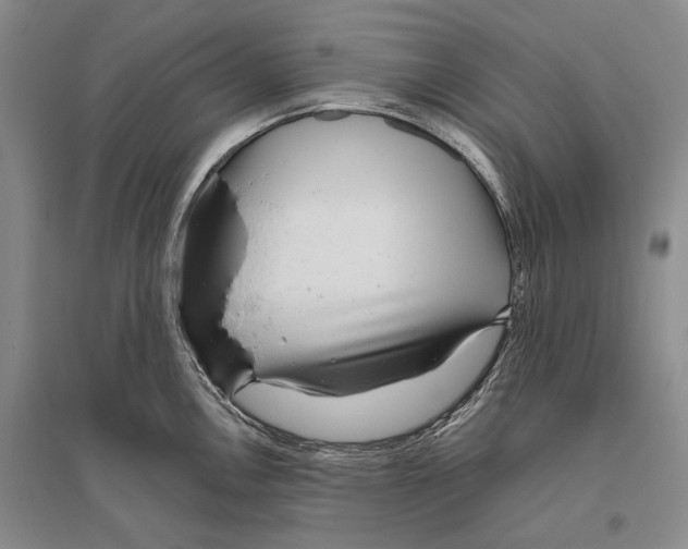 X0000096451146200802211228