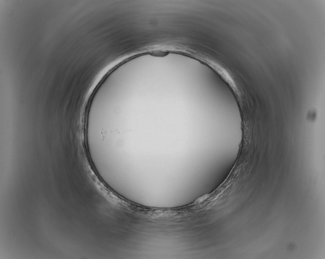 X0000096451148200802211228