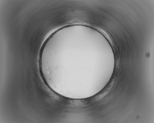 X0000096451149200802211228