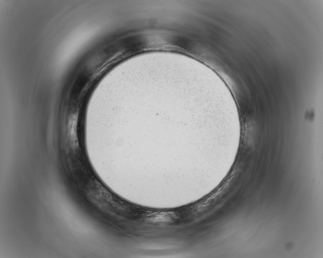 X0000096451150200802211228