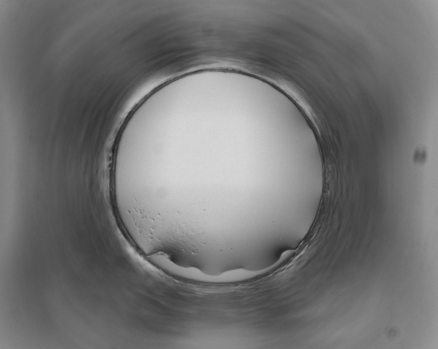 X0000096451151200802211228