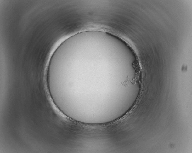 X0000096451152200802211228