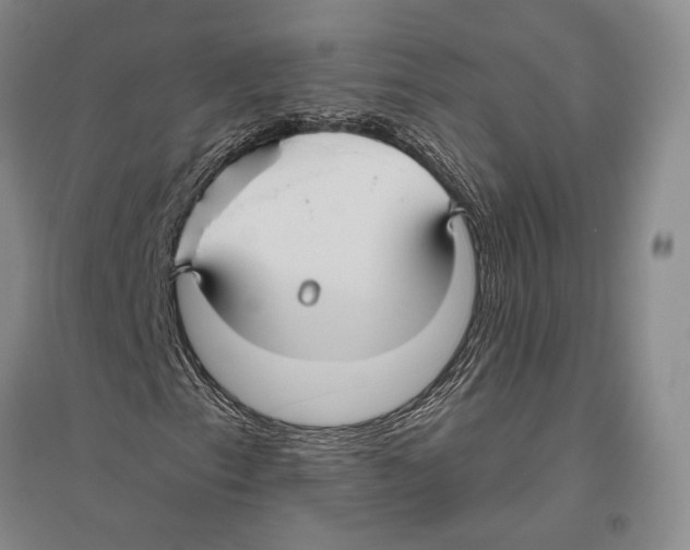 X0000096451153200802211227